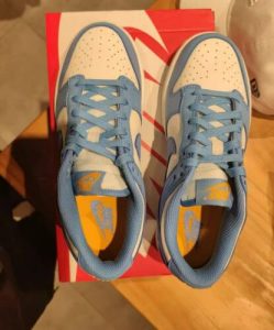 Dunk Low 'Coast' (W) photo review