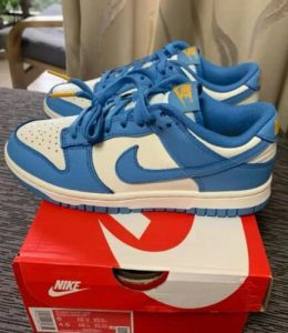 Dunk Low 'Coast' (W) photo review