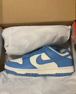 Dunk Low 'Coast' (W) photo review