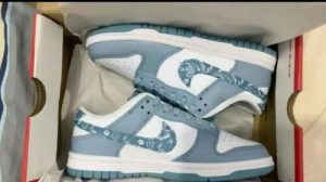 Dunk Low 'Blue Paisley' (W) photo review