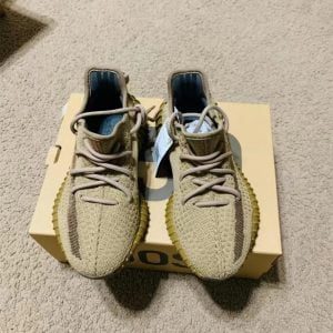 Yeezy Boost 350 V2 'Earth' photo review