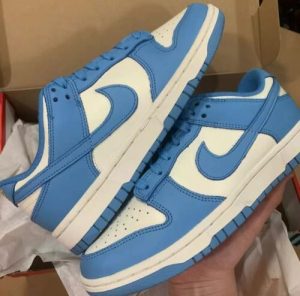 Dunk Low 'Coast' (W) photo review