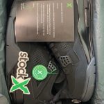 Jordan 4 Retro 'Black Cat' photo review